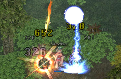 Lv相応の経験値を持っているなら十分期待できそうな狩場。